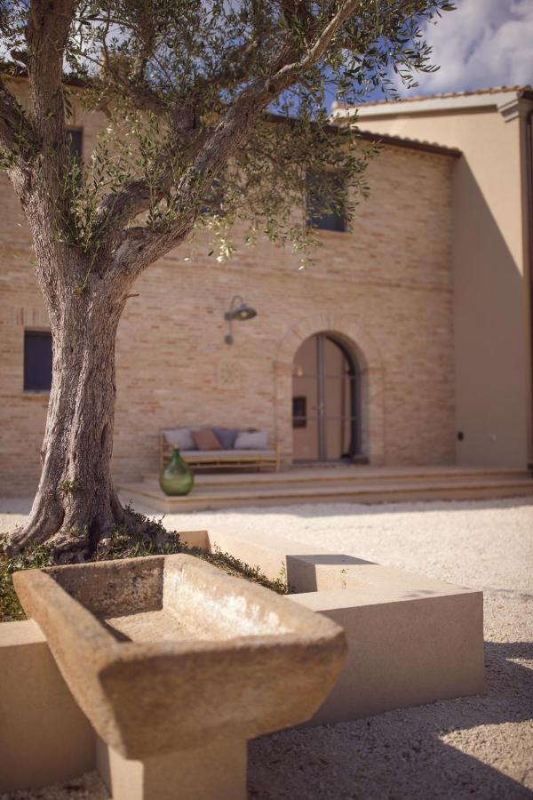 Casale Tre Gelsi Bed & Breakfast Cingoli Dış mekan fotoğraf