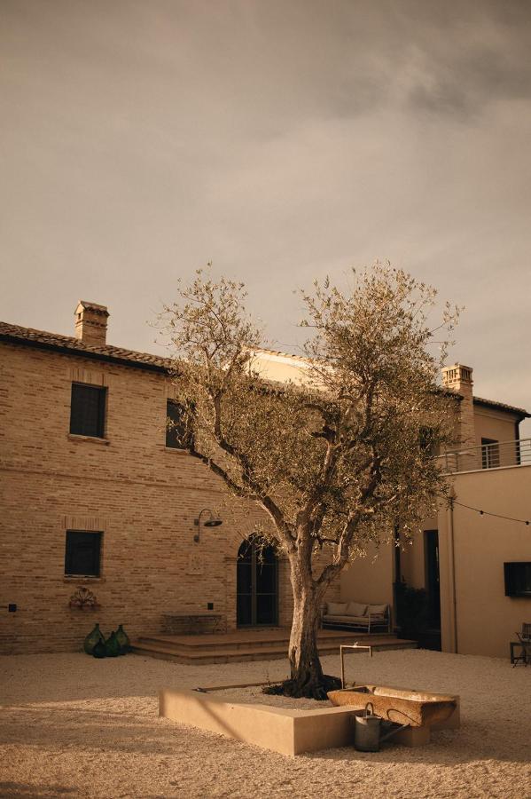 Casale Tre Gelsi Bed & Breakfast Cingoli Dış mekan fotoğraf